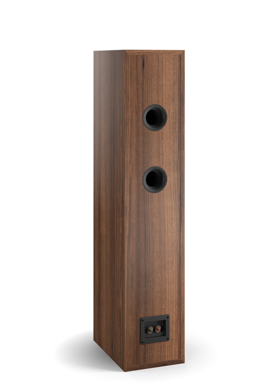 SPEKTOR 6 (WALNUT)