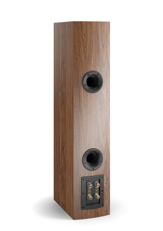 RUBICON 6 (WALNUT)