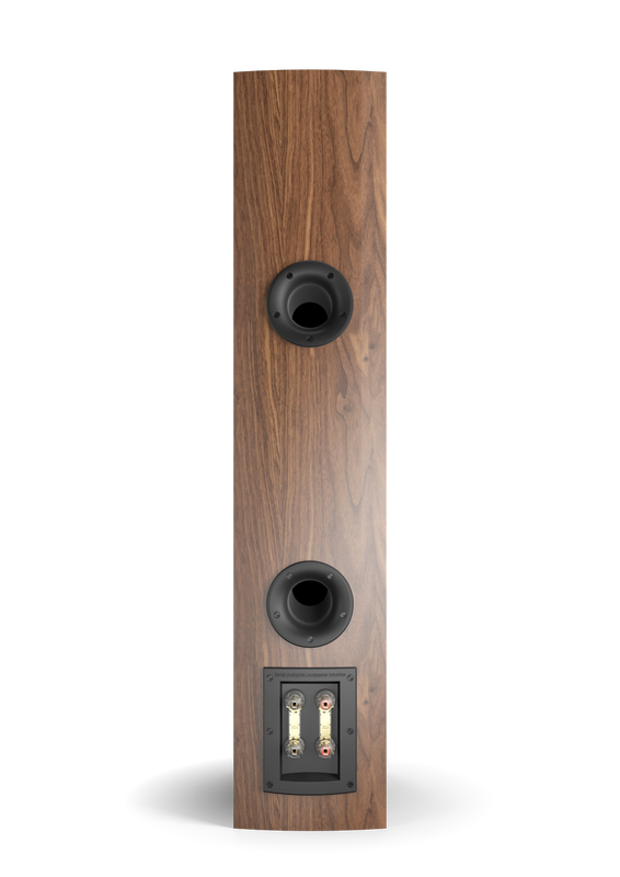 RUBICON 6 (WALNUT)