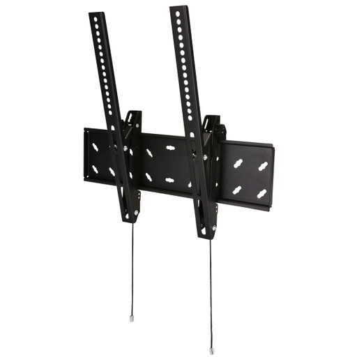TM55